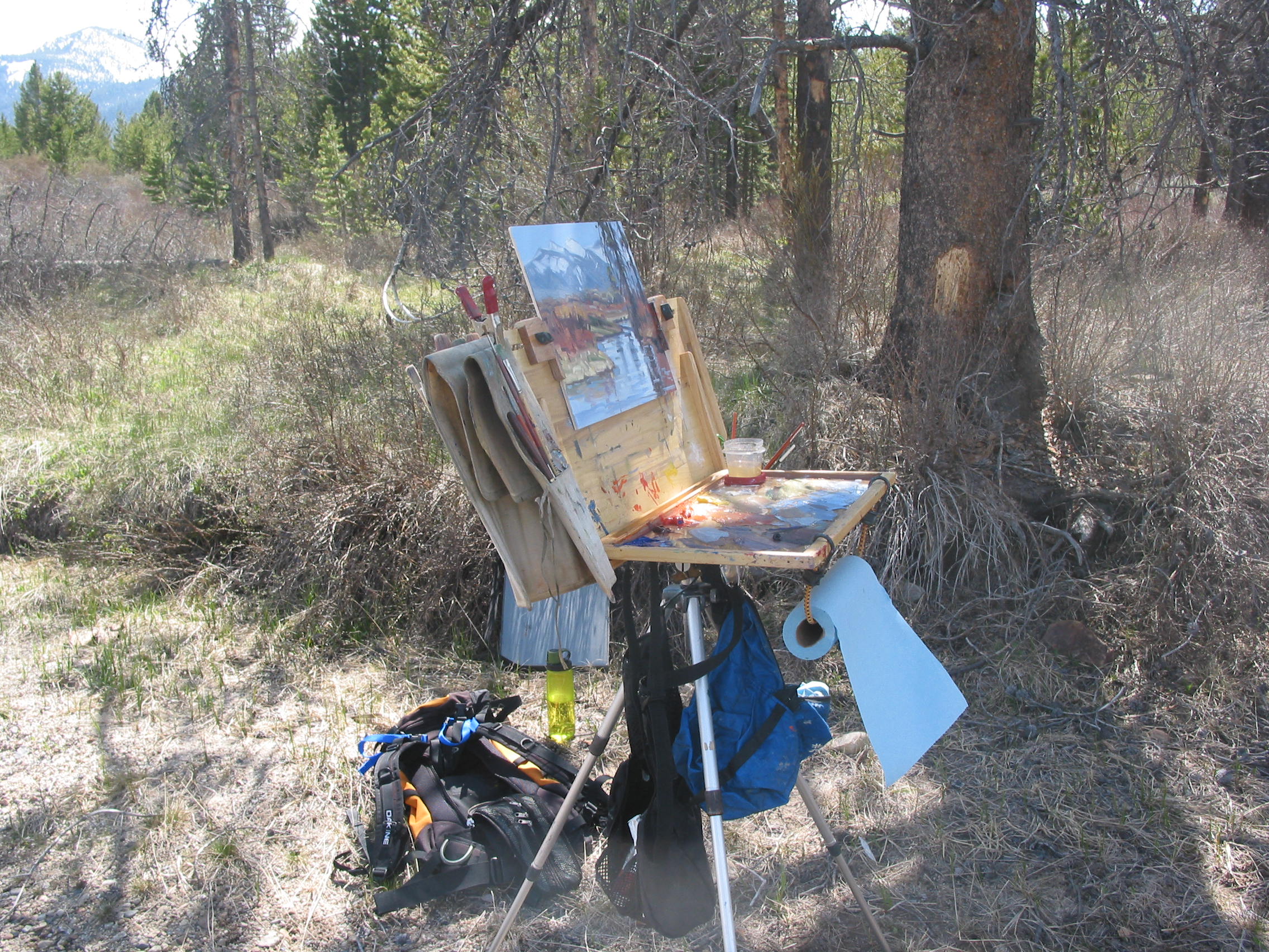 This picture shows the blue bag I use for used paper towels and other garbage. The black bag holds all the oil paints and stand oil. This bag helps weigh down the easel to help it be more stable in windy times. After the turpentine dries out on the used paper towels I can often use them at least one more time before they are tossed in the garbage.
