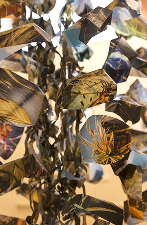 detail, Capsized