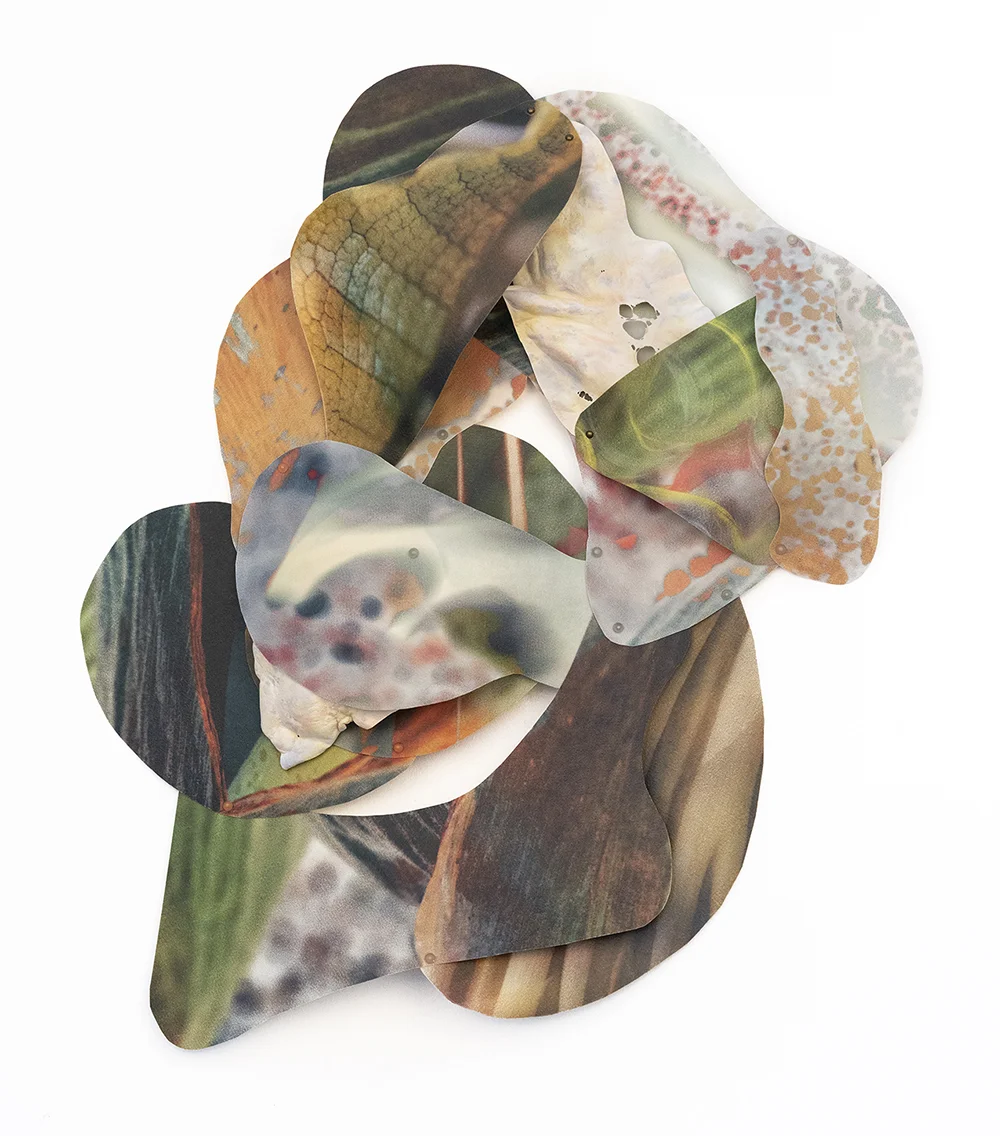 Conflux