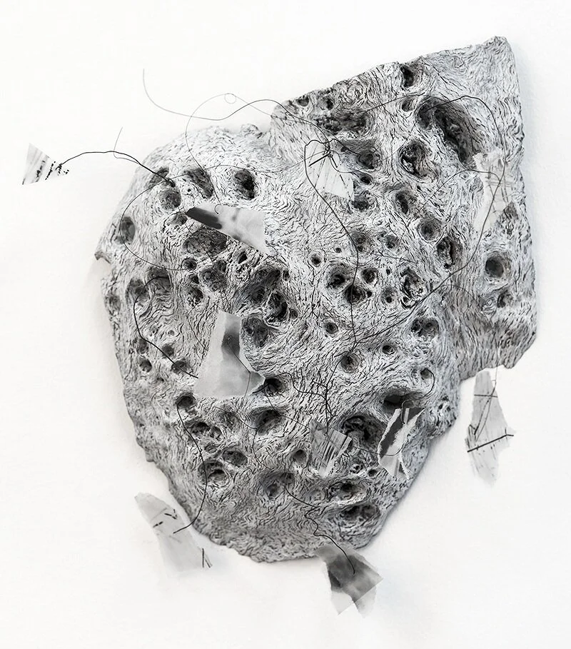 Grey Matter
Found object with encaustic, archival
pigment photographs on handmade
kozo with encaustic medium, 
horsehair and wire
11"x8"x2", 2017
