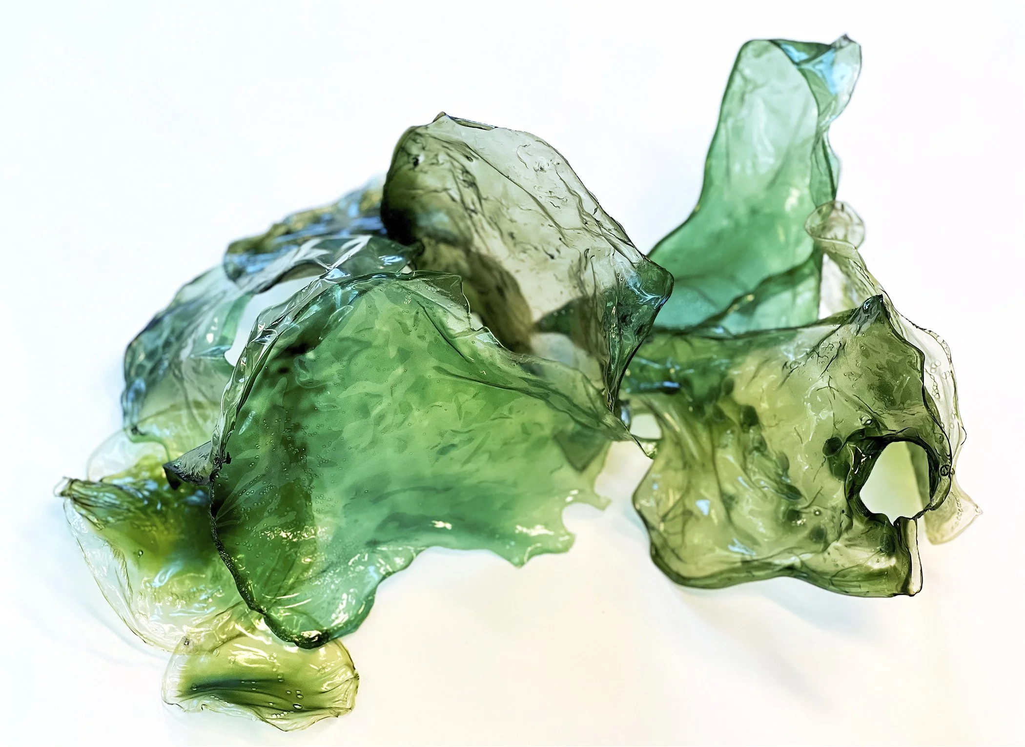Sea Change 2
Biomaterial, artist-made botanical 
pigment, and wire
12”x19”x12