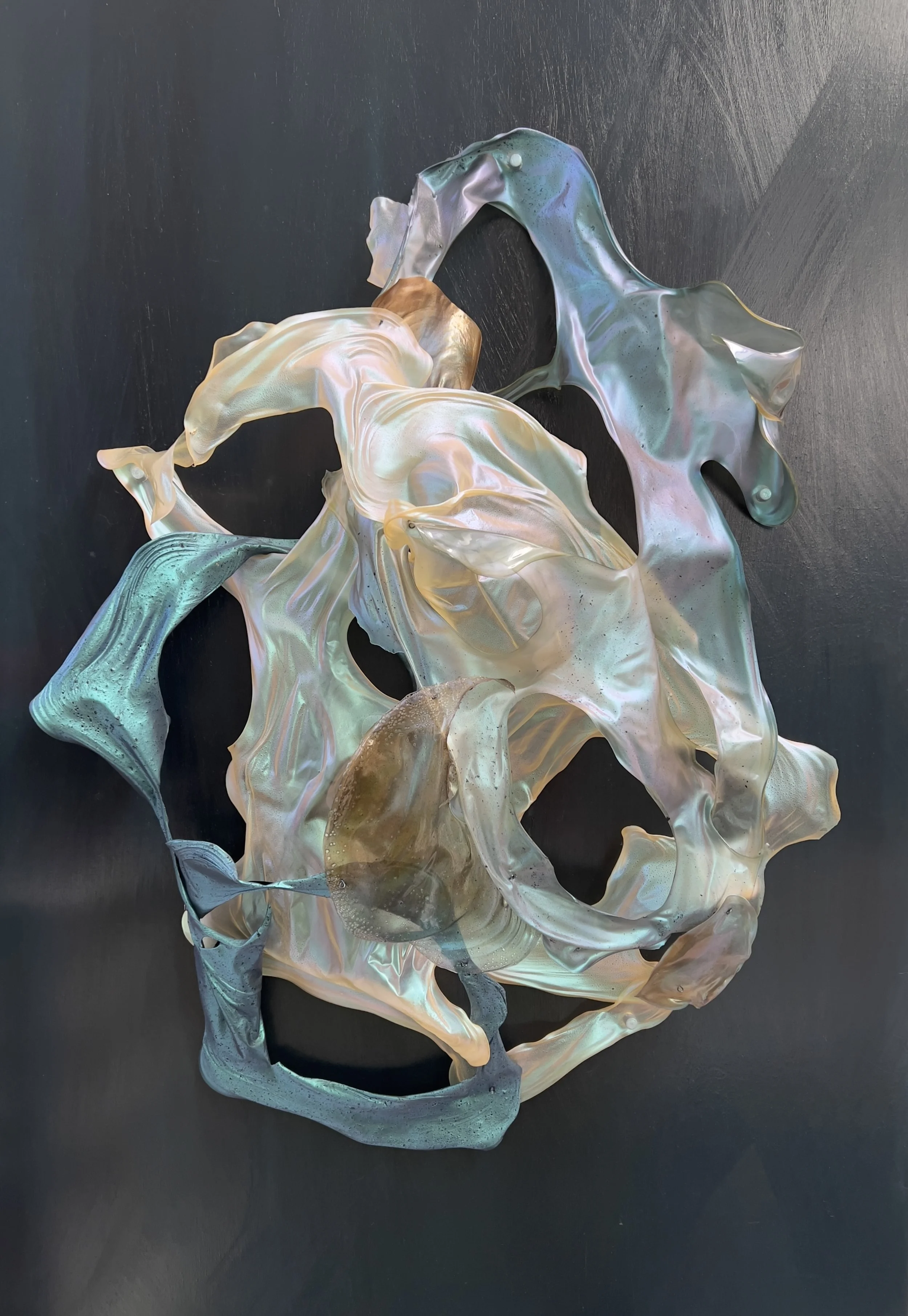 Wave, Sea Change series
Chitosan and pigments, wire