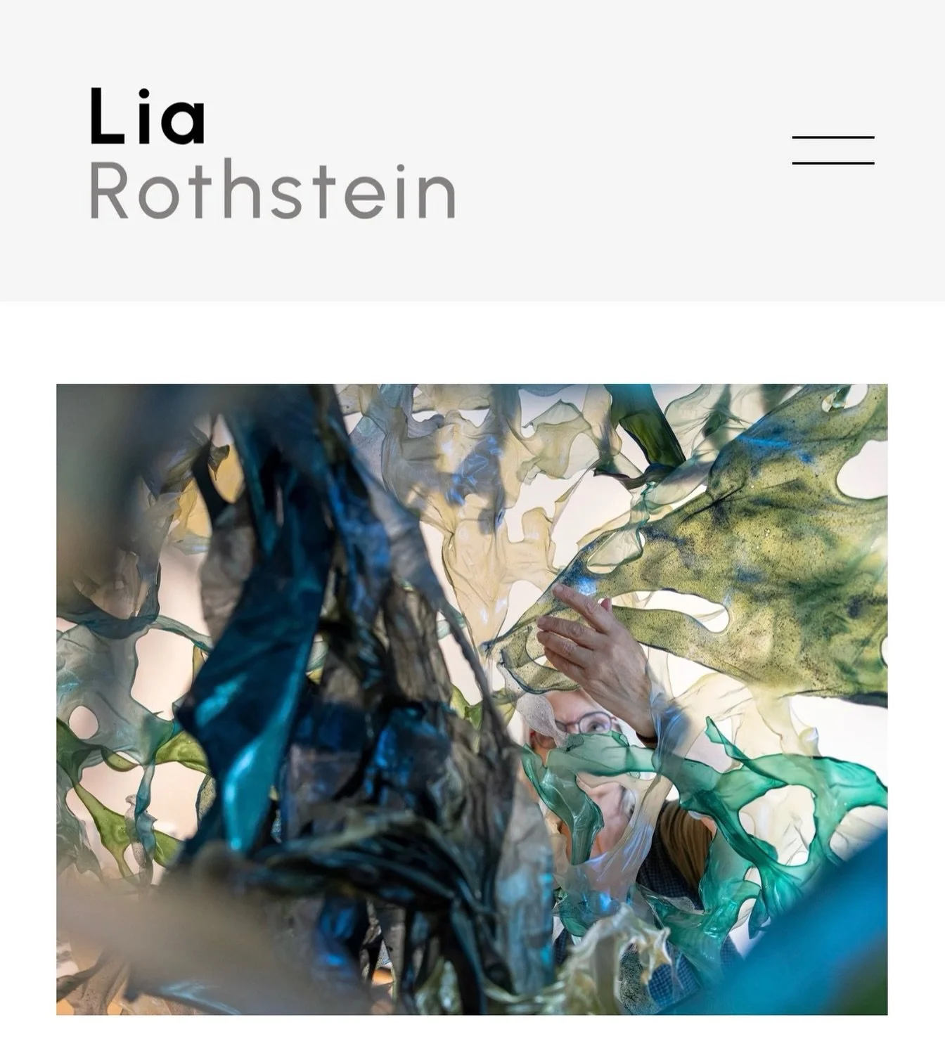 I have a new website!! If you haven&rsquo;t checked out what I&rsquo;ve been up to lately, I invite you to take a fresh look. The link is in my bio: www.liarothstein.com.
#newwebsite  #sculpture  #biomaterials #sustainableart  #newenglandartist