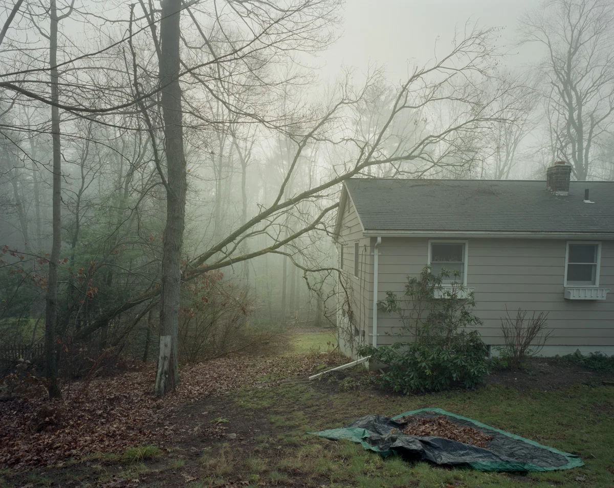Fallen, Belchertown MA, 2011