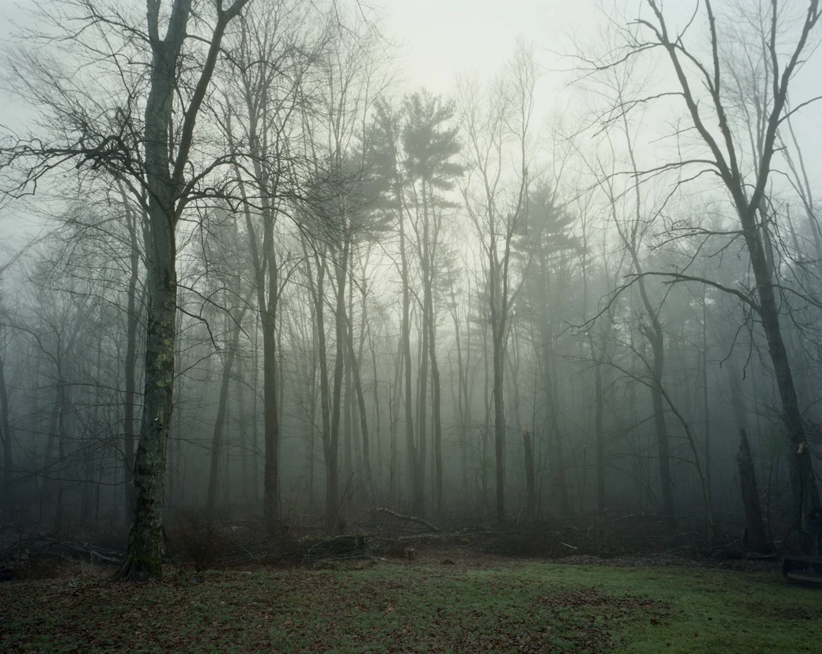 Belchertown MA, 2011
