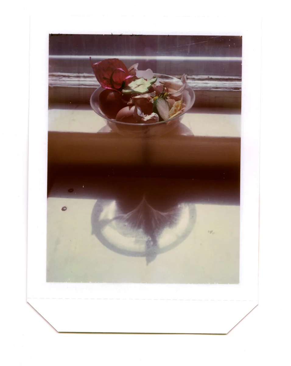 Polaroids