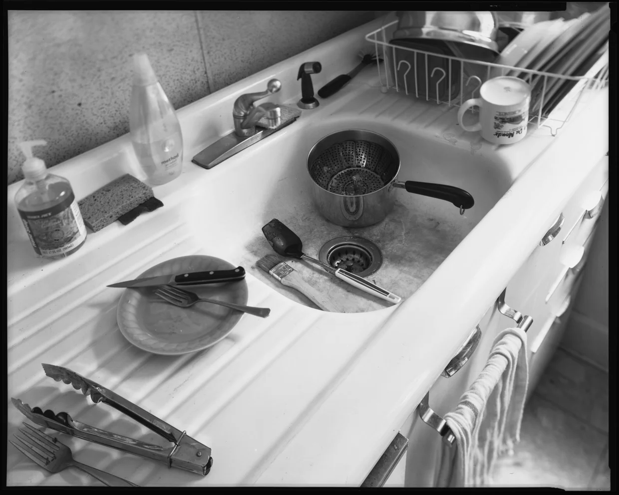 Still Life Domestique