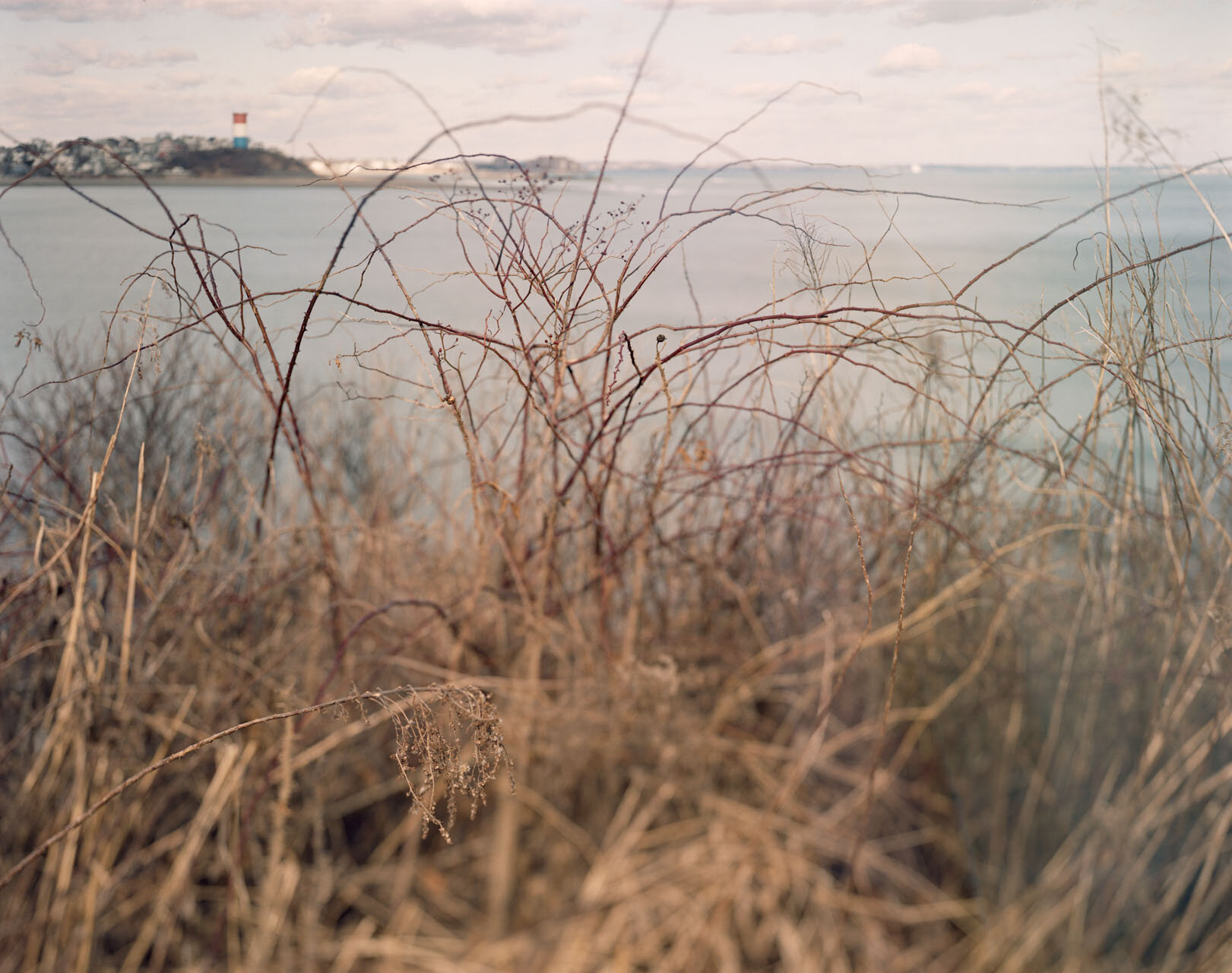  Deer Island Boston MA, 2020, quarantine station 1847 - 1852 