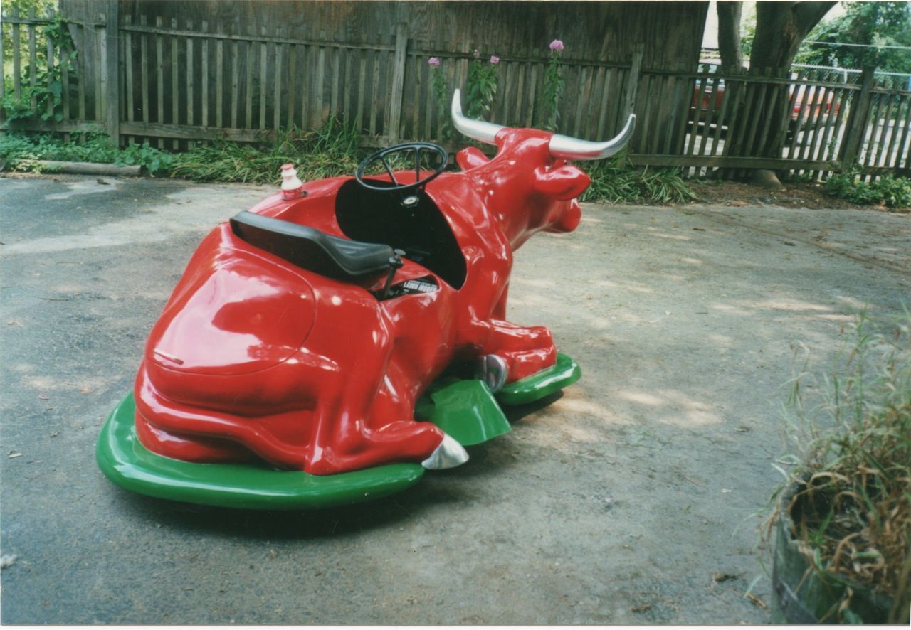 lawn mooer .jpg