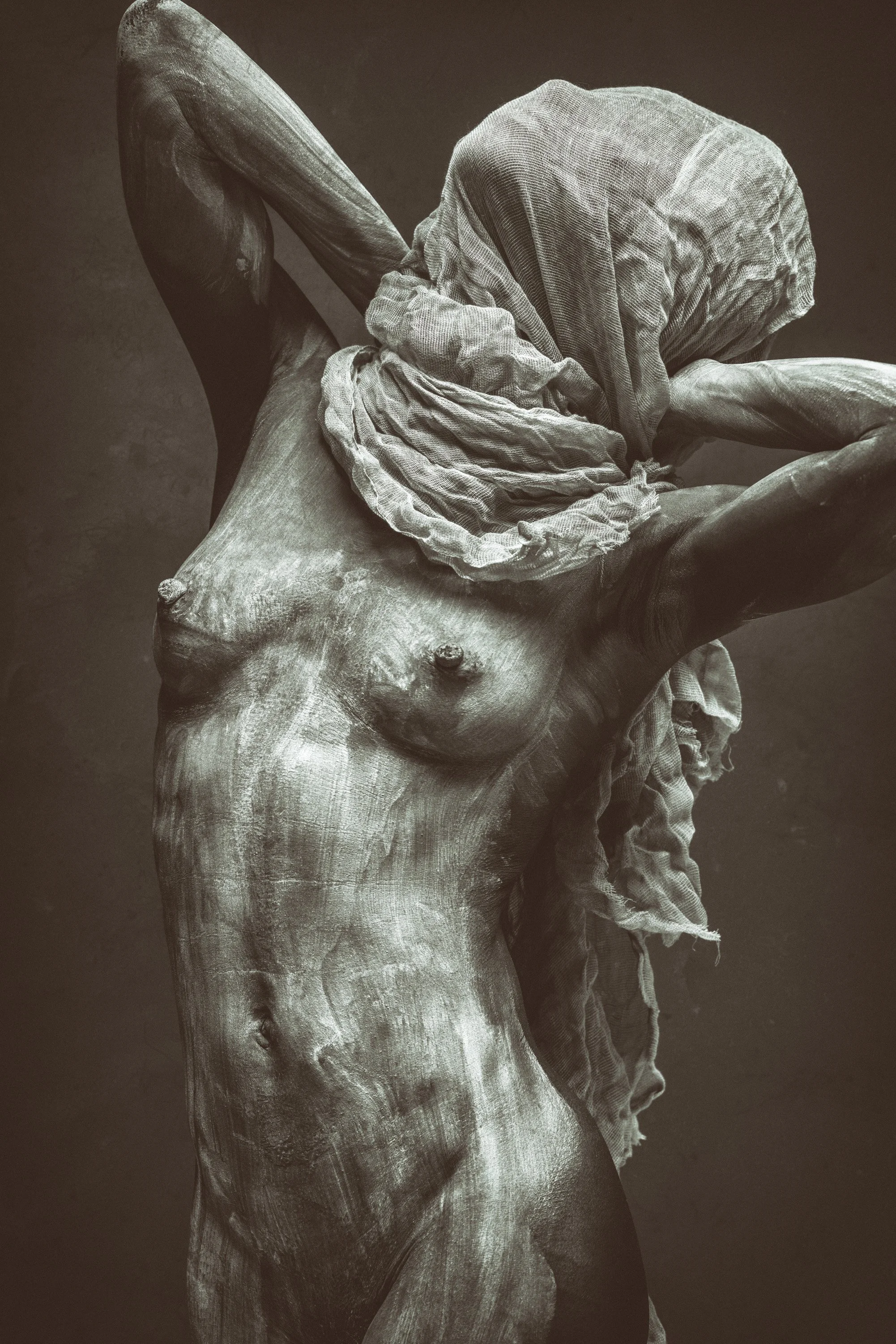 #97, Gazelle Powers, Studio 400, Lorton, Virginia, USA
2015-08-29