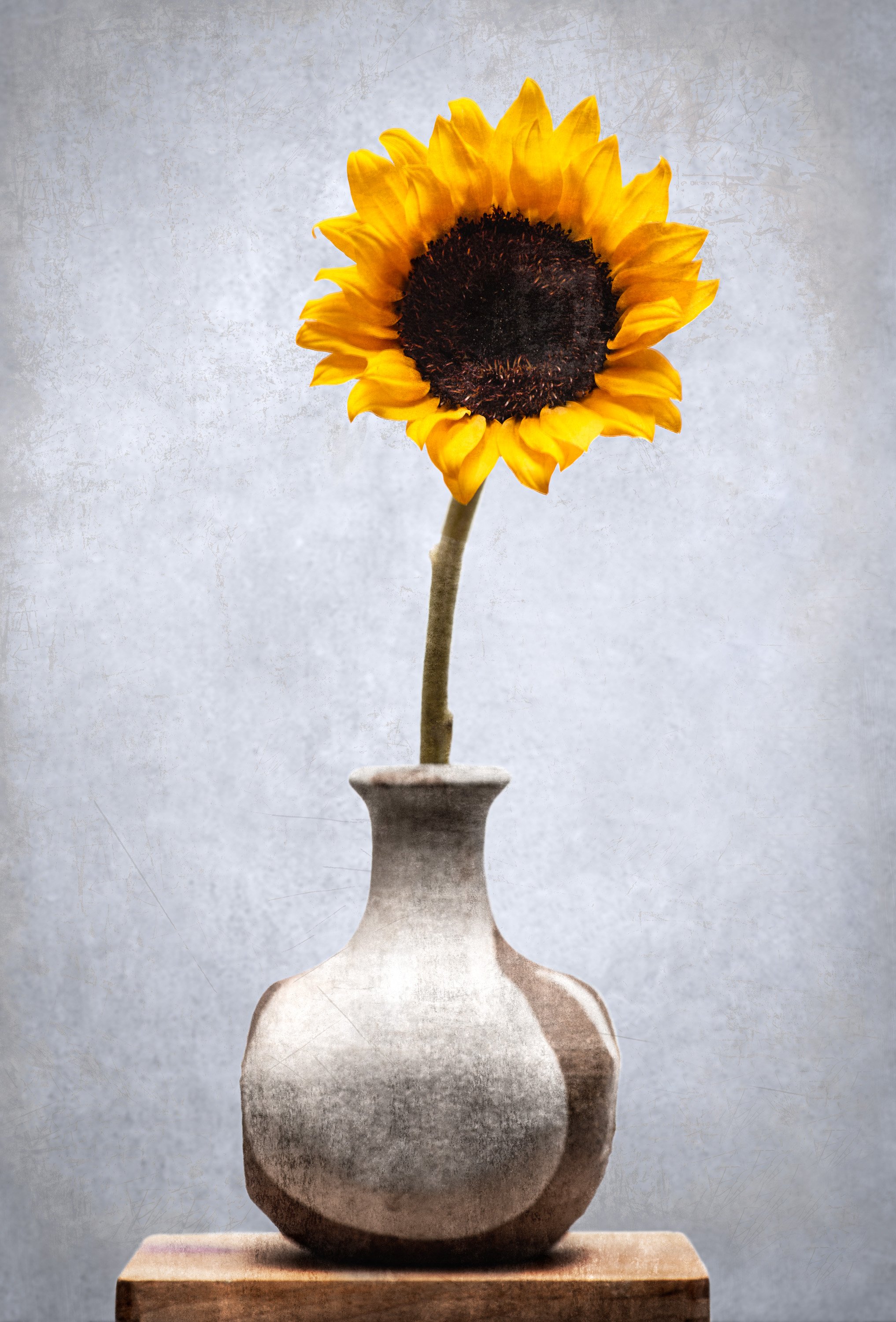 #13, Halfway Studio, Gaithersburg, Maryland, USA
2016-08-18