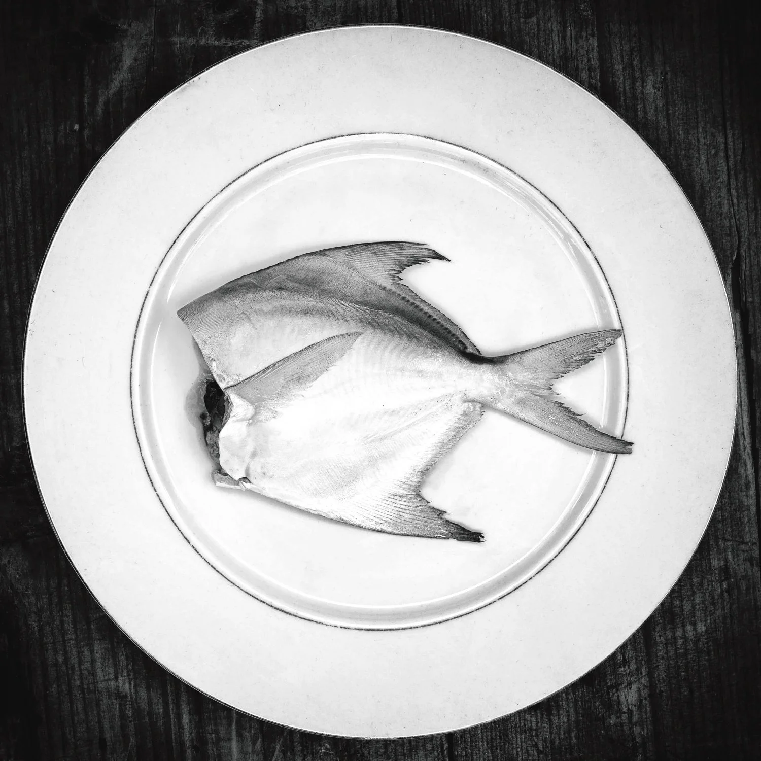 #64 (Afterlife) (Copy)