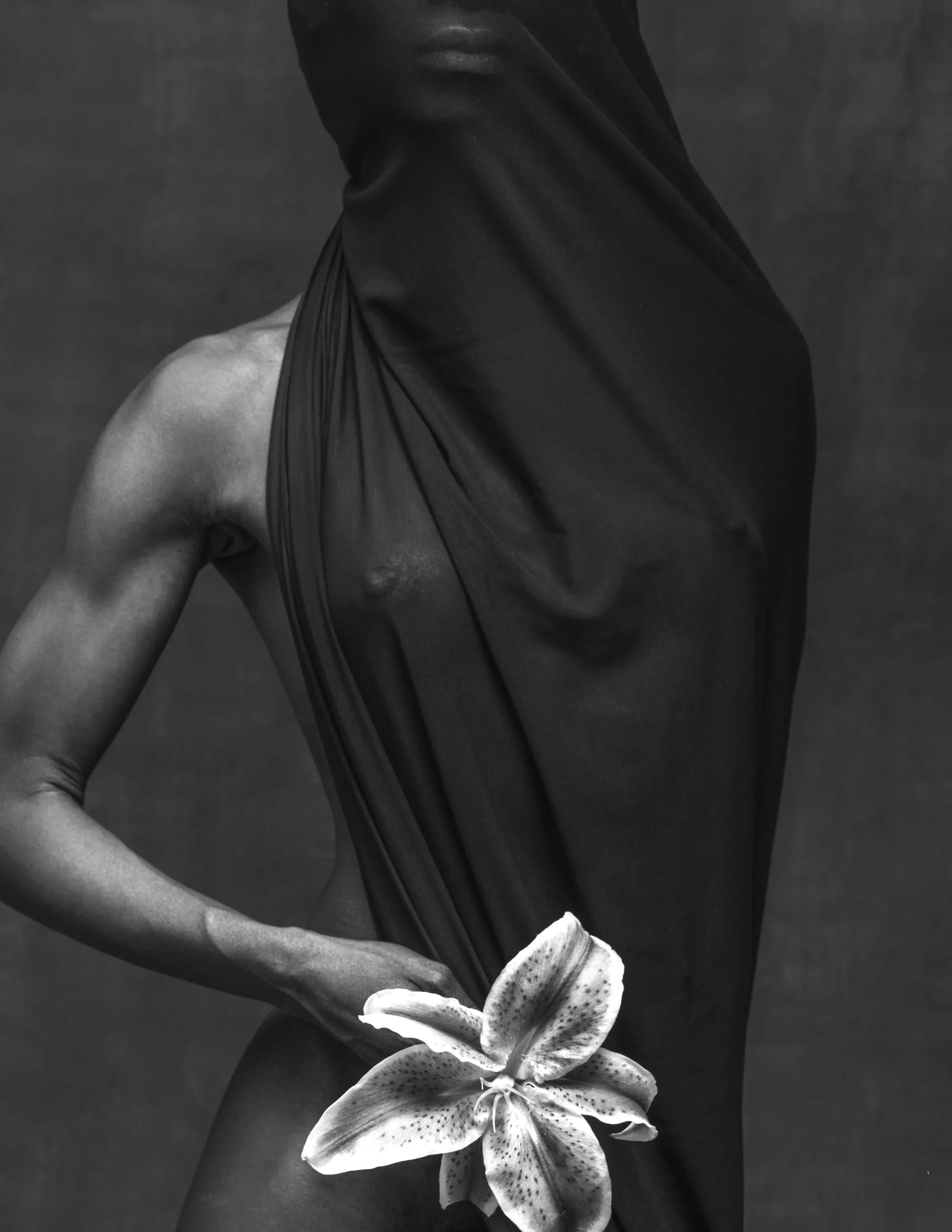 #183, Gazelle Powers, Halfway Studio, Gaithersburg, Maryland, USA
2017-02-04