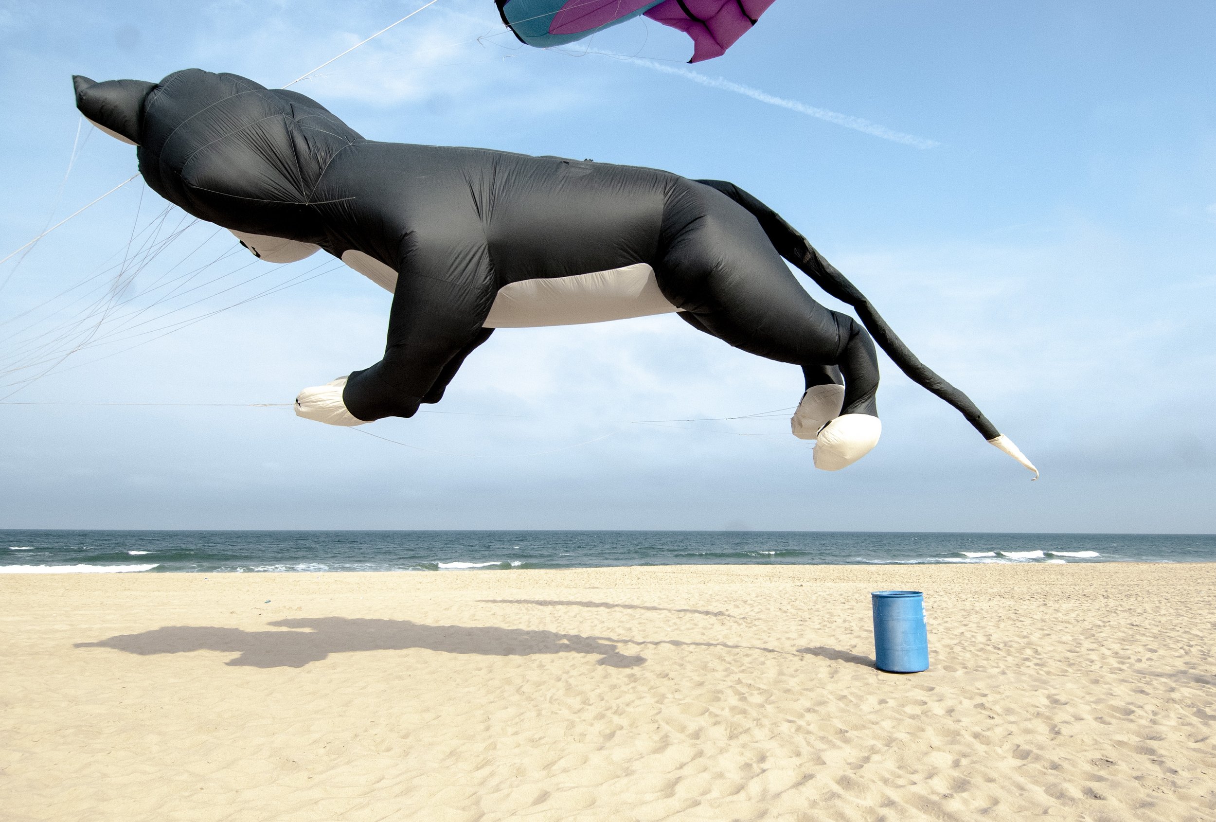 #104, Ocean City, Maryland, USA
2007-05-17