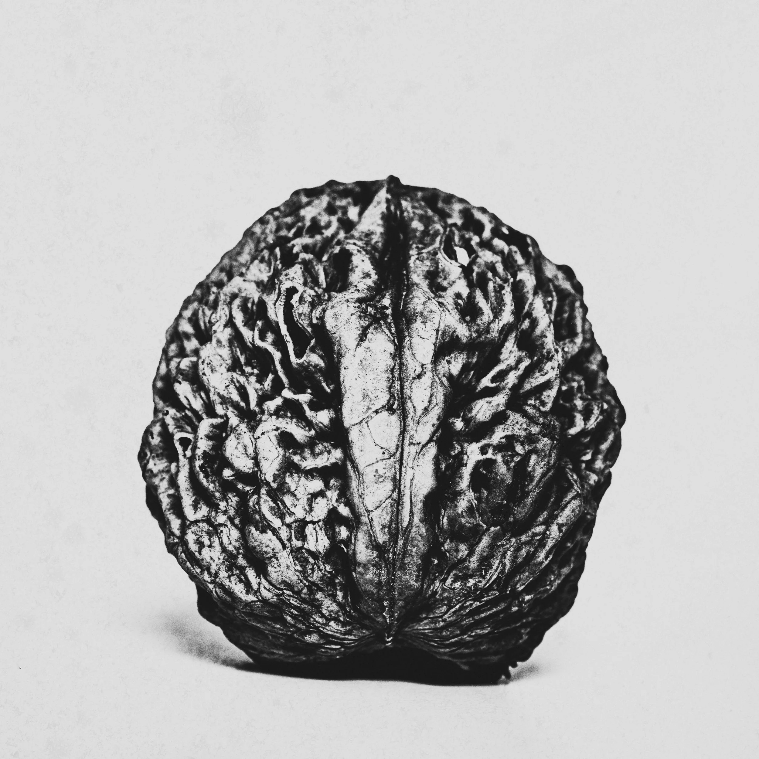 #2
Zagnańsk, Poland
2025-12-18