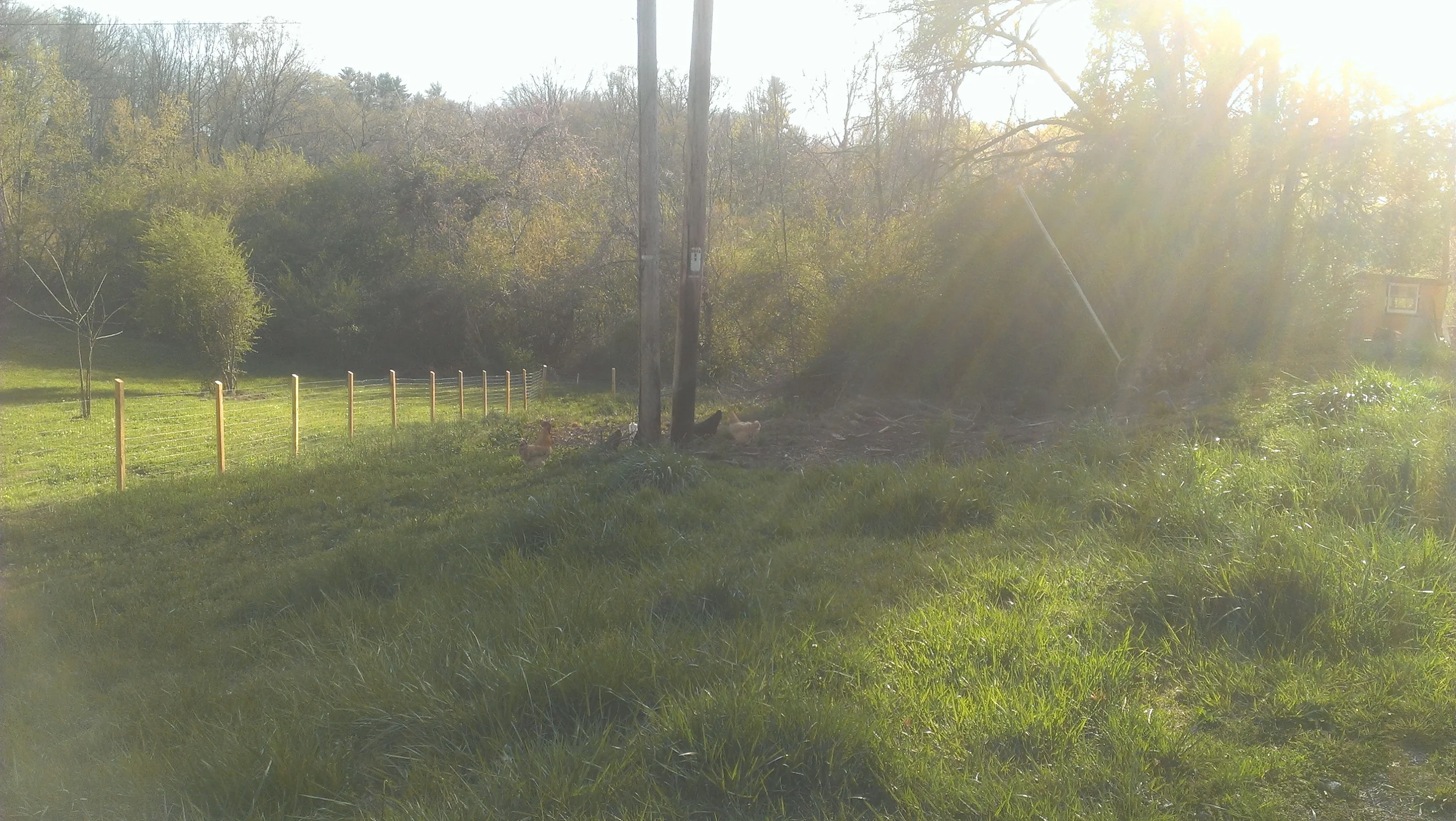 From a barren pasture...a fertile farm will grow.
