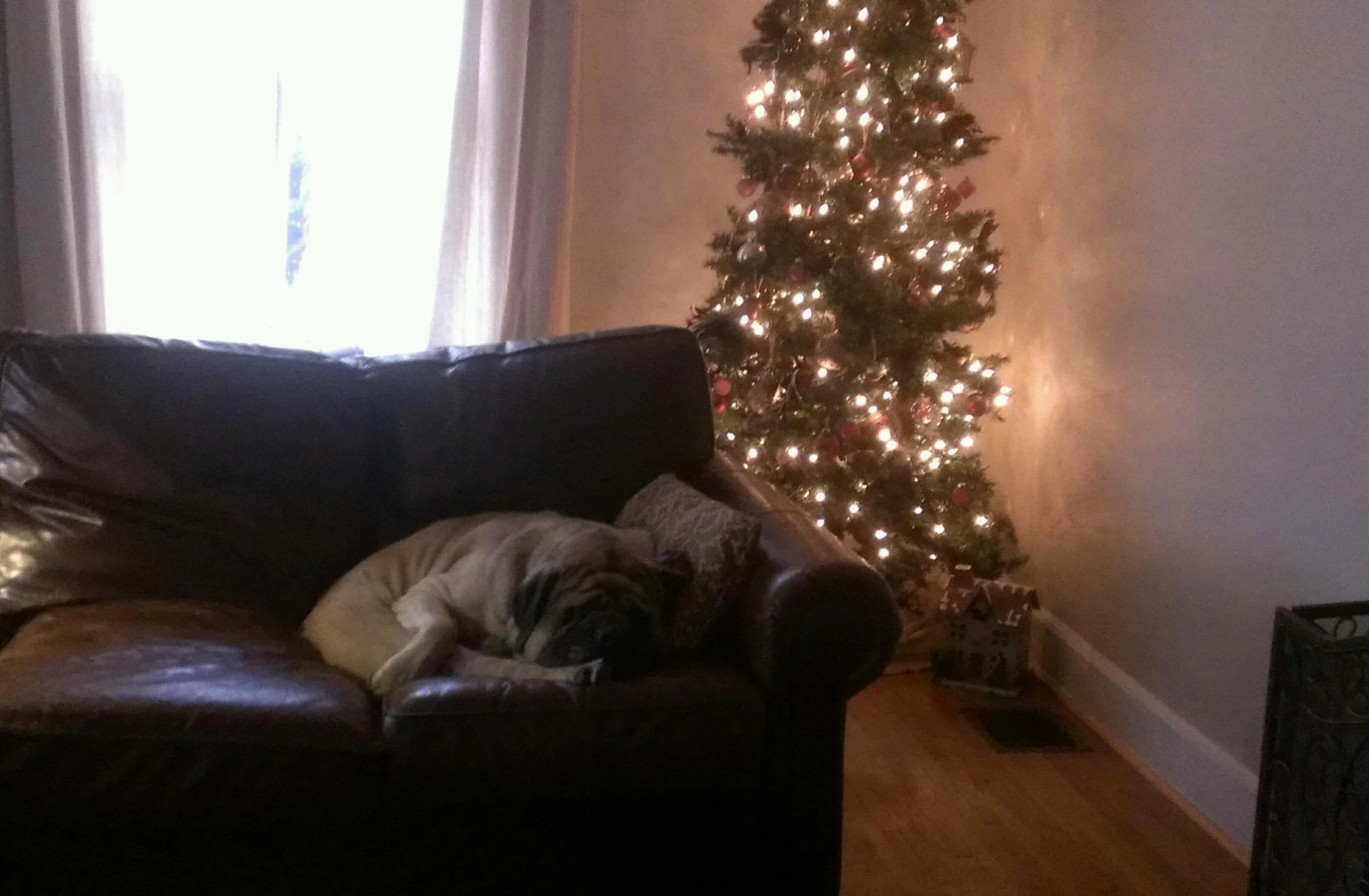 Christmas in better times