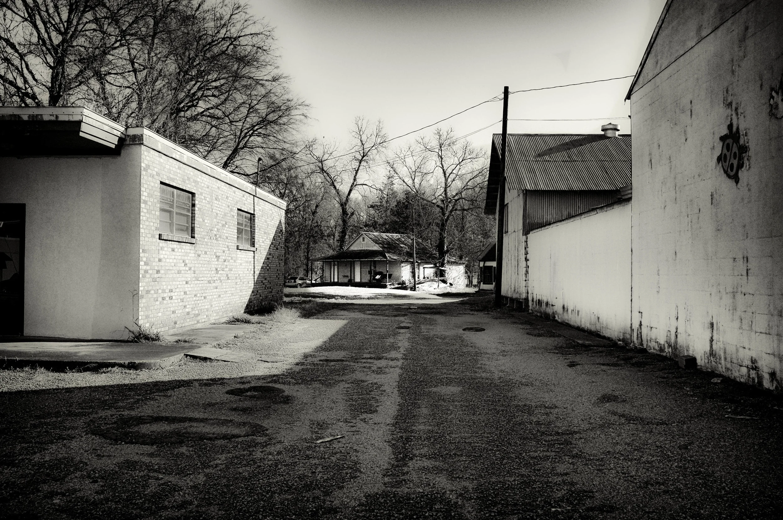 DSCF6547-Edit.jpg