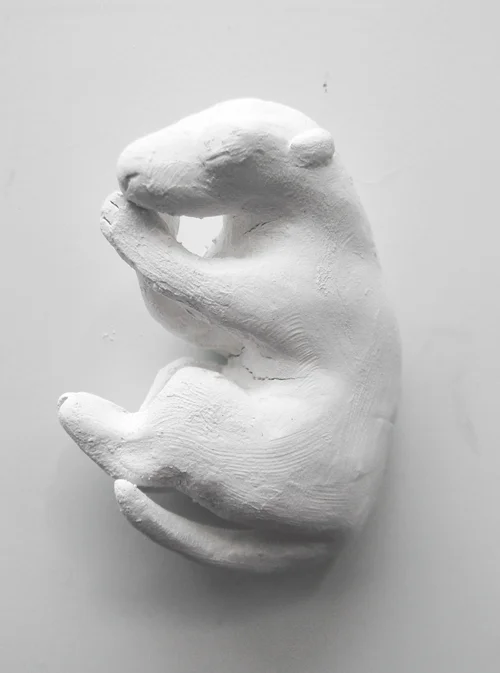 possum3a.jpg