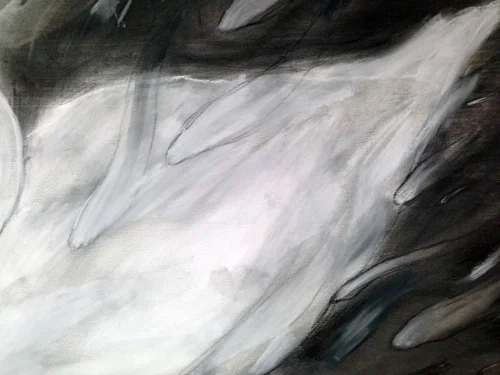 swan3.jpg