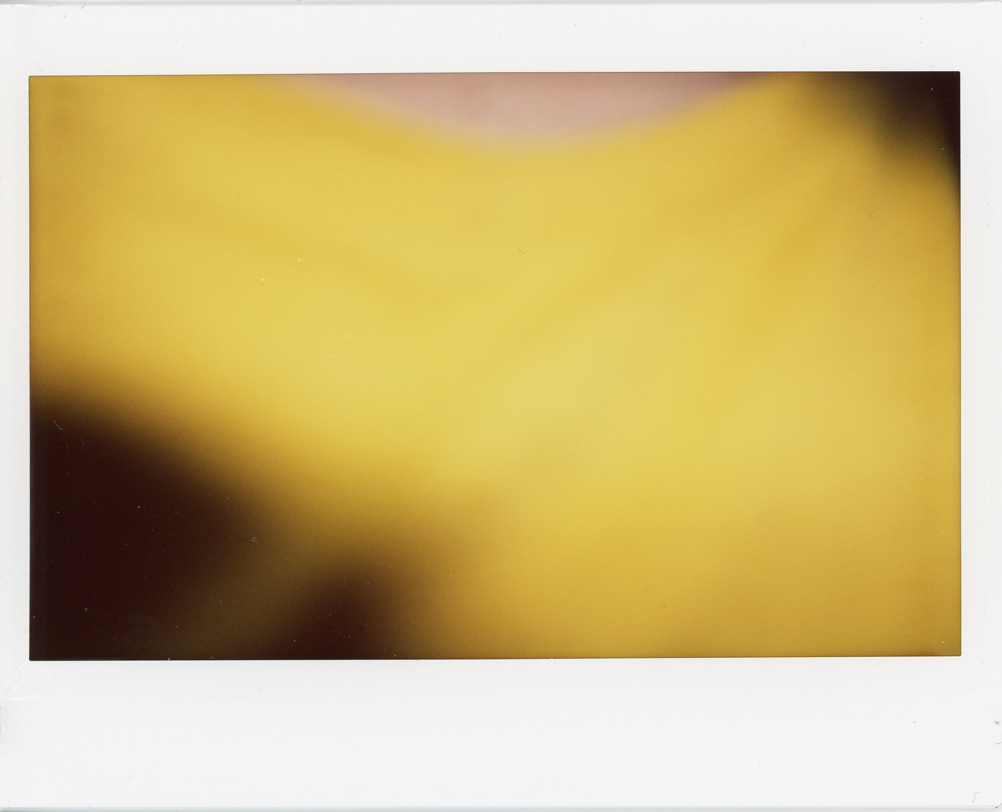 InstaxWide167.jpg