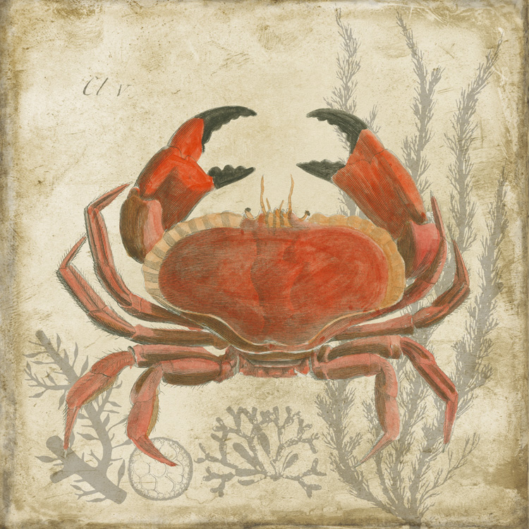 G11521 Crab.jpg