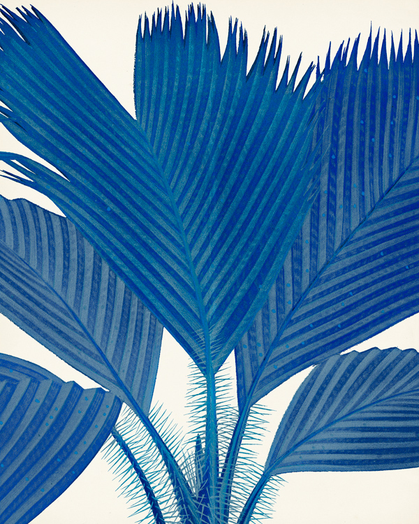 G12260-SA Palm in Blue NOT FOR WALL DECOR tif.jpg