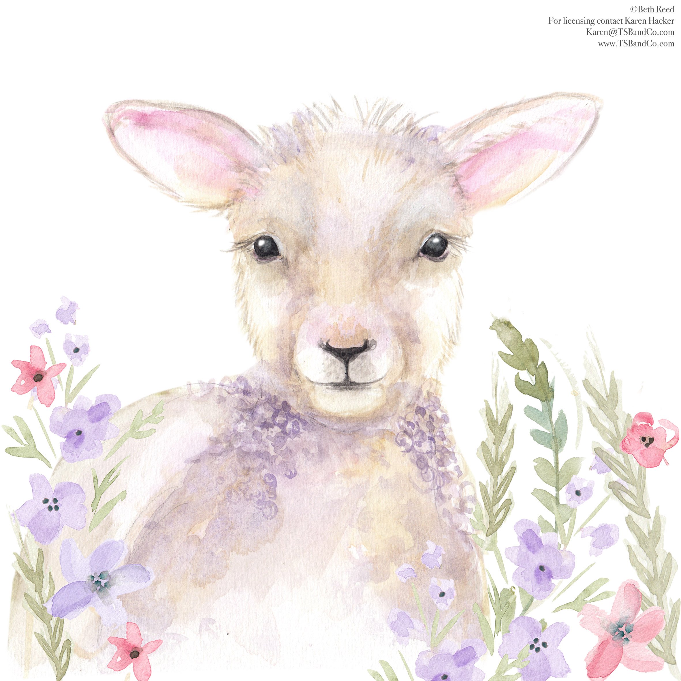 BRD TSB 002 Spring Floral Lamb1.jpg