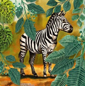 GG-Zen-Wild-9-Zebra.jpg