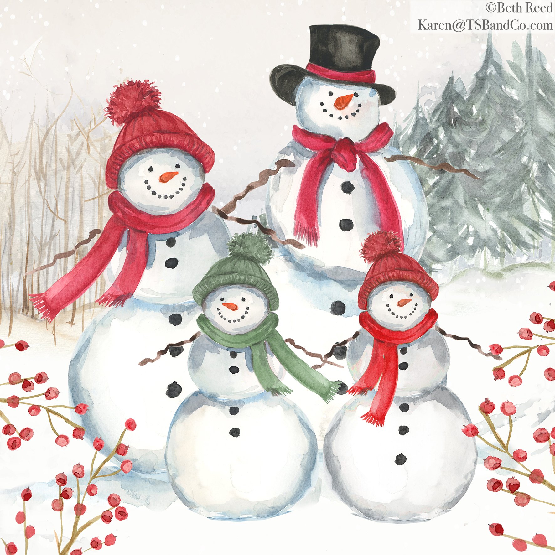 BRD TSB 053 SNOWMAN4.jpg