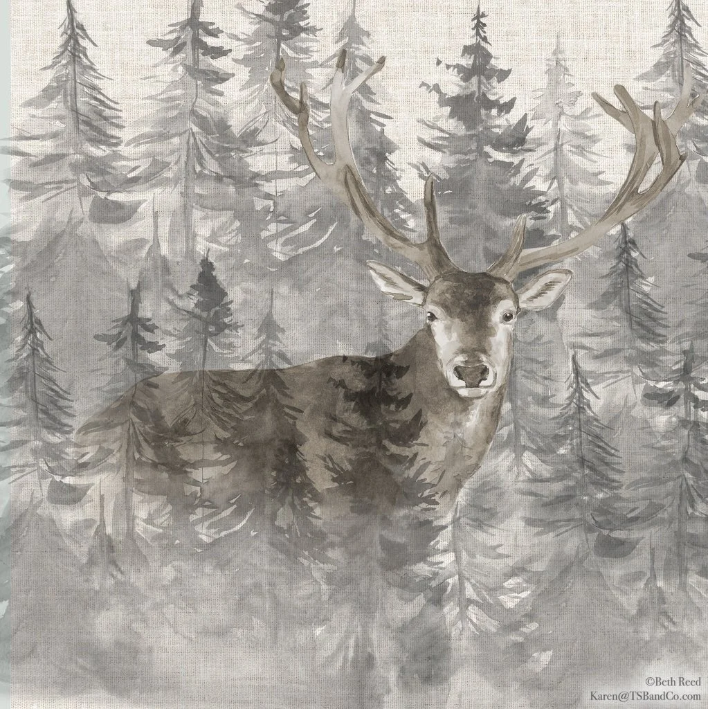 BRD TSB 082 IN THE FOREST3.jpg