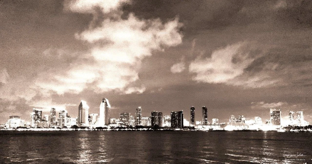 DS TSB CITY ON THE BAY 1.jpg