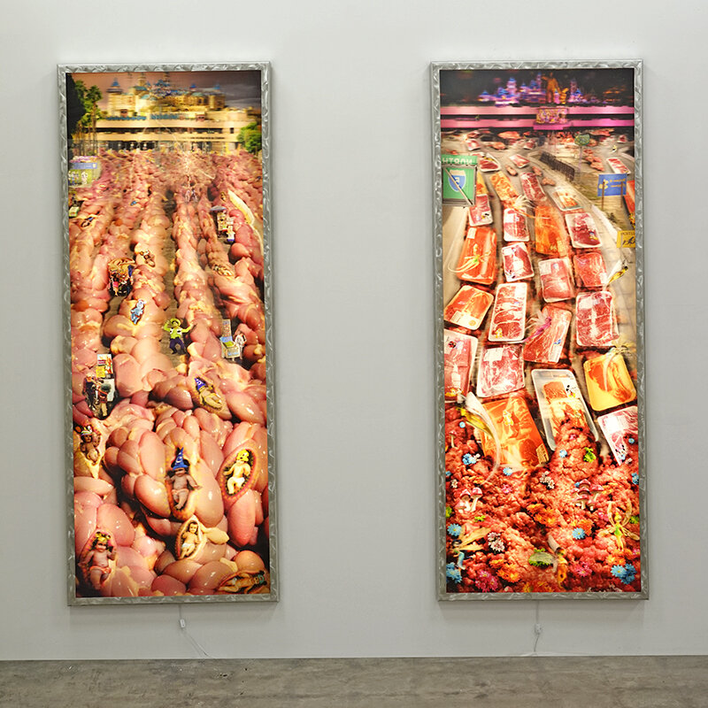 “Borderlandia” (diptych, 2016) (Copy)