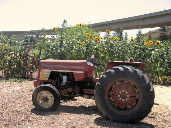 Old rusty here is a great photo op, but unfortunately doesn't run. We need a working tractor to till our fields!