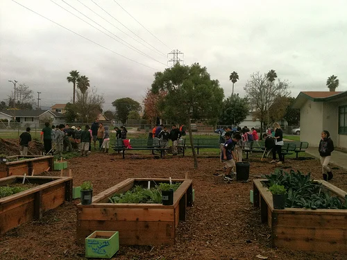 goss garden.jpg