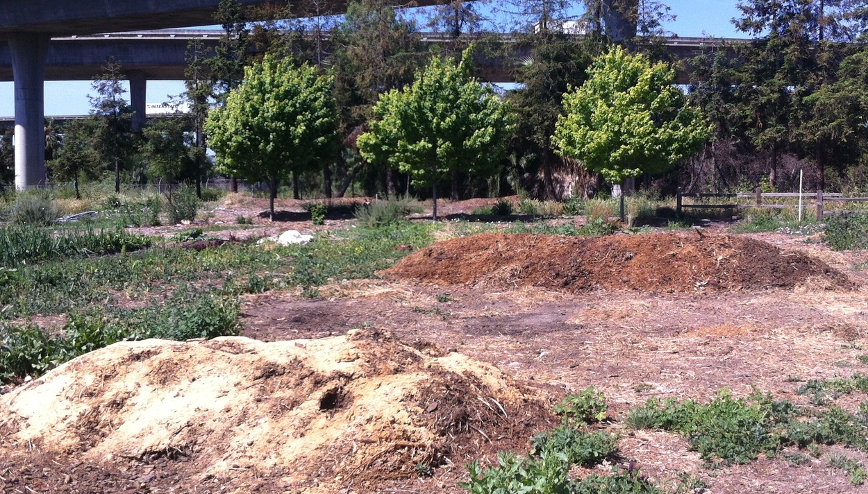 Our compost system is working great, with several "windrow" piles in the pipeline at any given time.