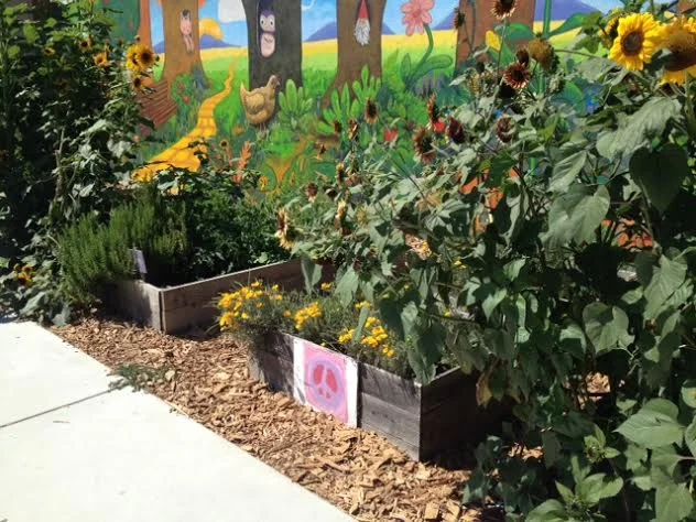 Transitions at the McKinley School Garden
