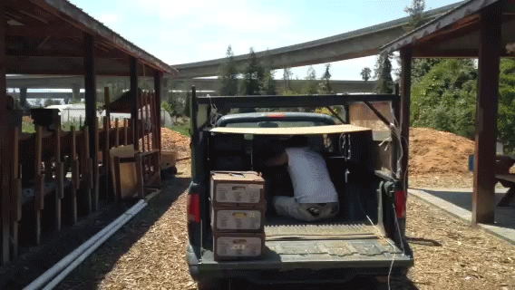 Tom and Becky Hammer help Will Chen load up the truck before he drops off the Farm Boxes.