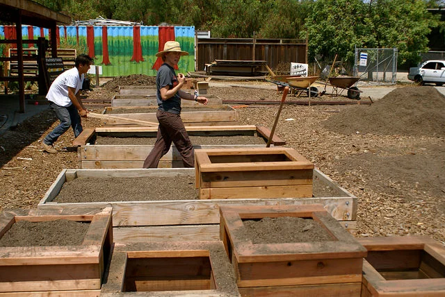 The Herb Garden Project