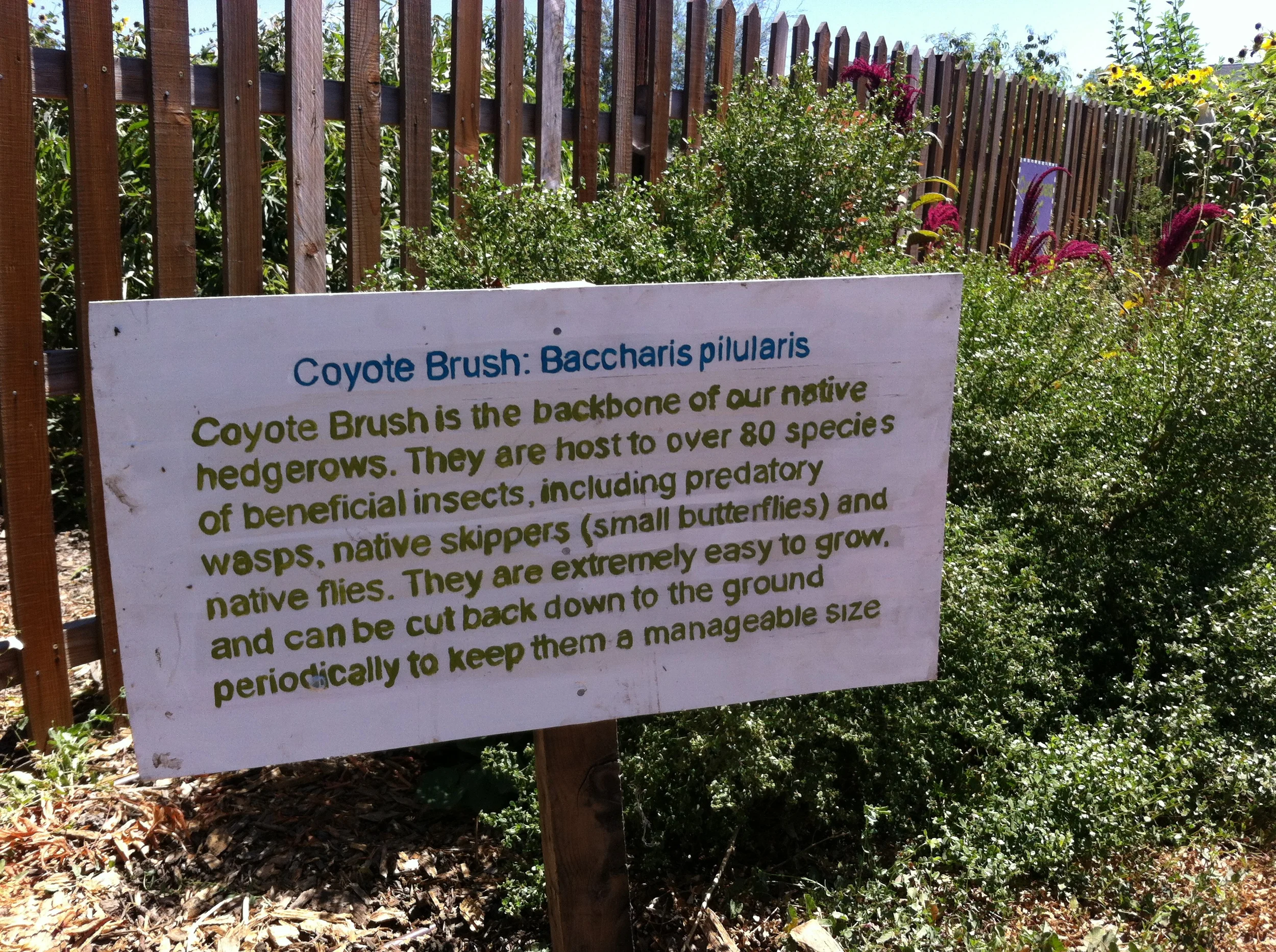 Informational signs give visitors give visitors useful info about how different native plants contribute to the farm.