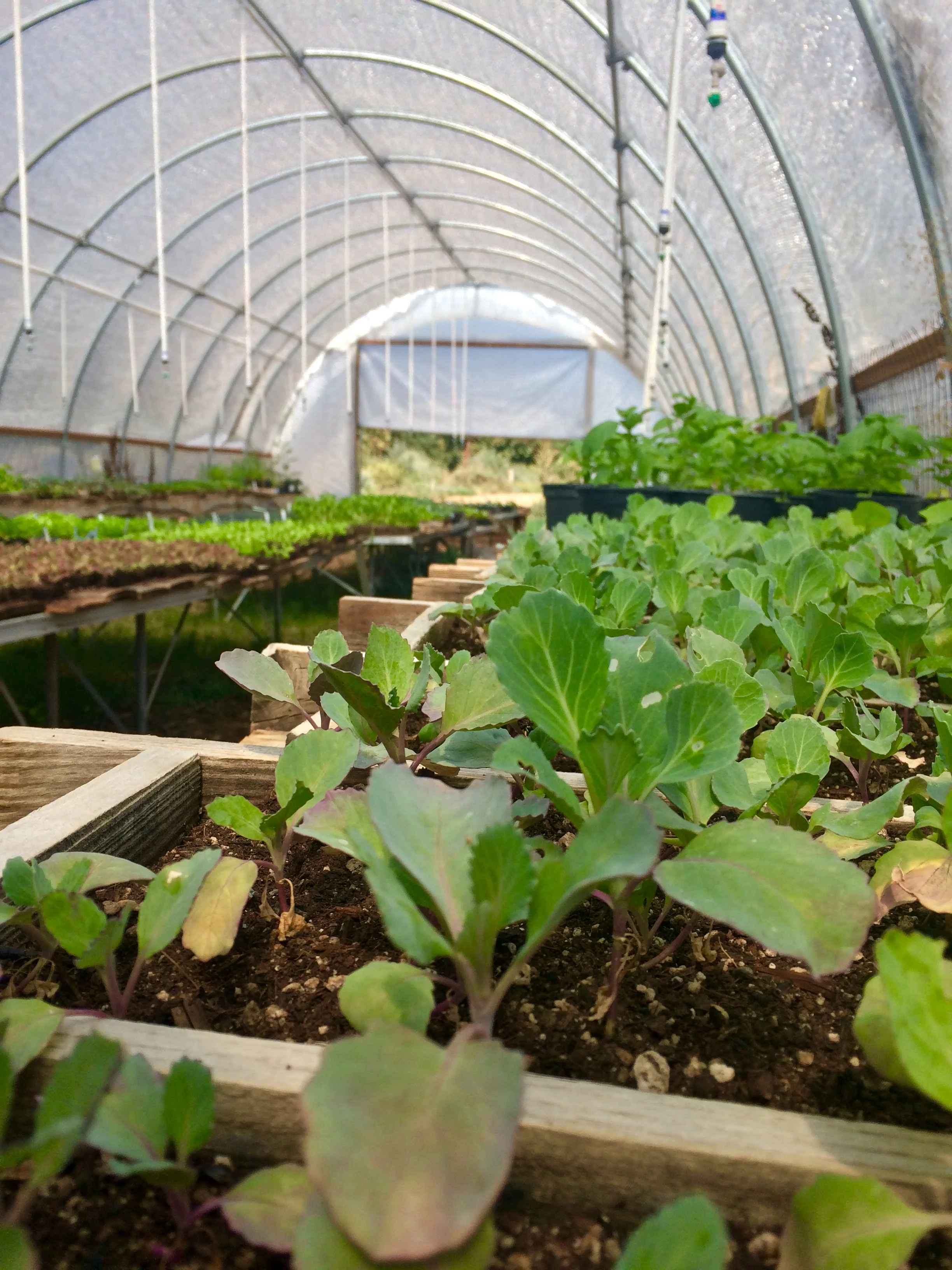 October State of the Farm