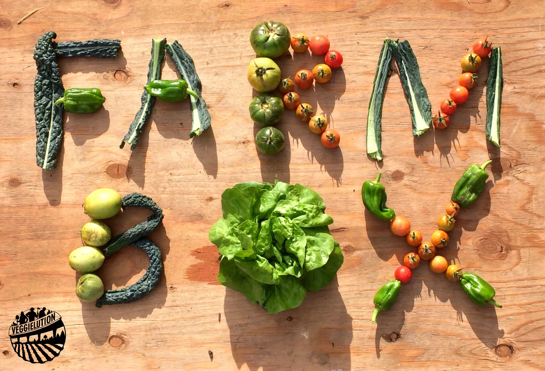 State of the Farm: December 2014