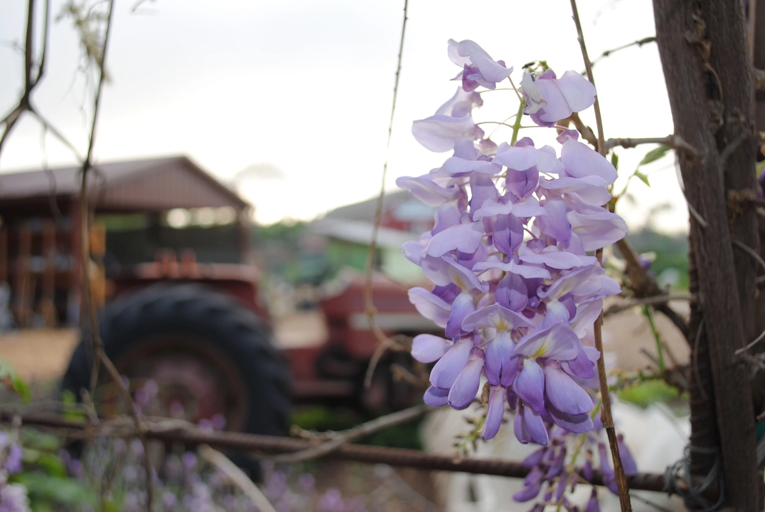 Spring 2015: How's it Growing?