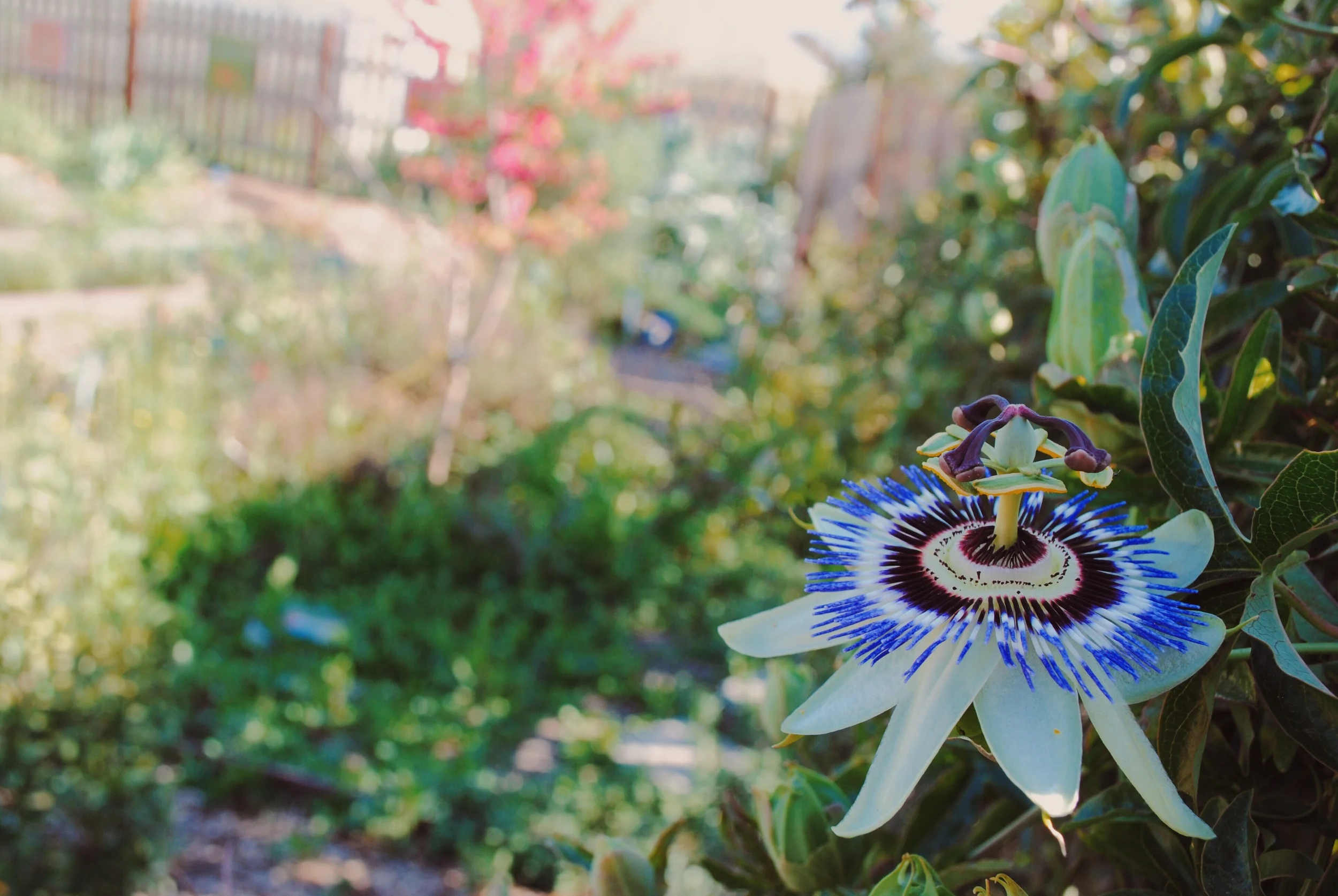 Youth Matters: Spring 2015