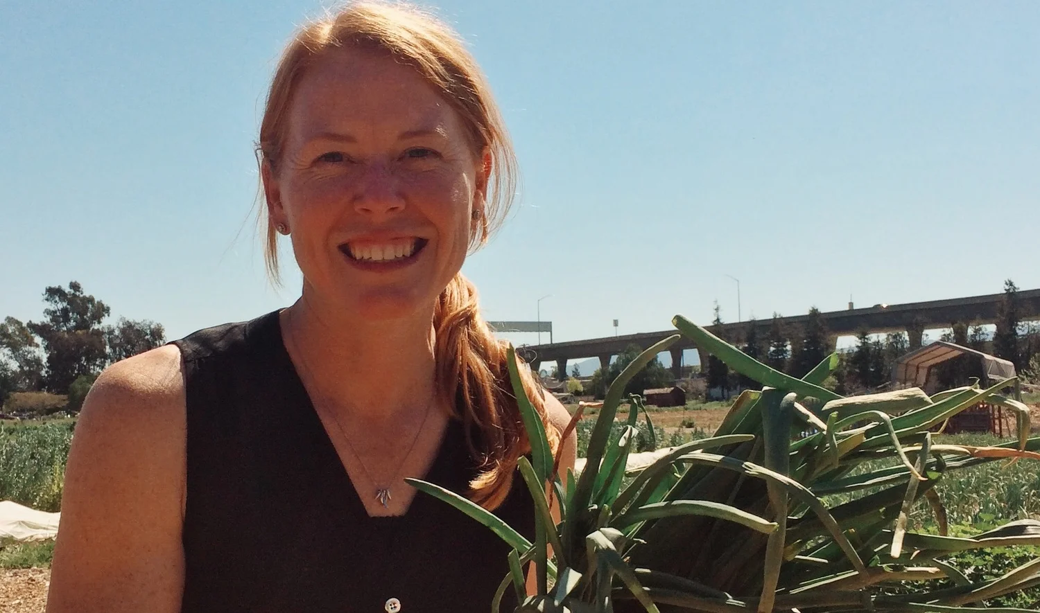 A Note from Cayce Hill, Interim Executive Director