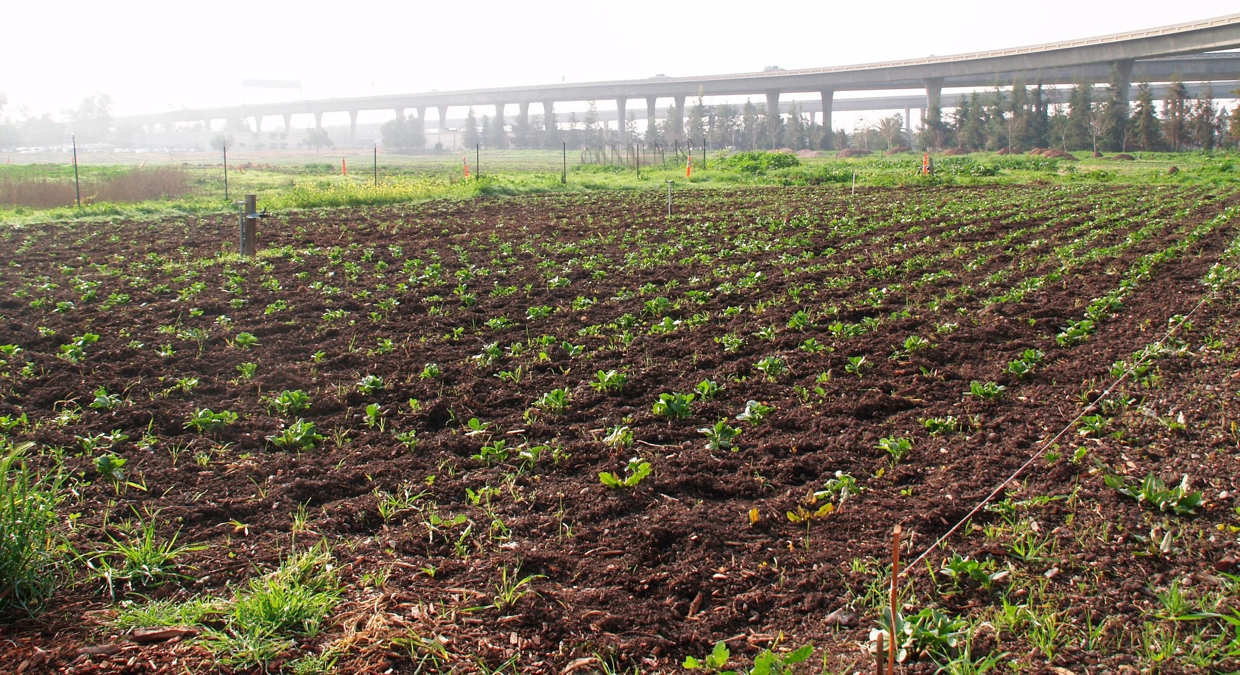 News about Colleen and Will