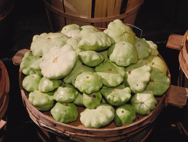 Vegetable of the Month - Pattypan Squash