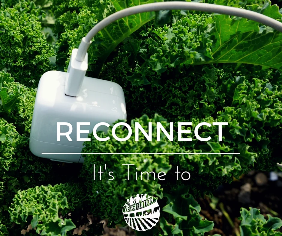 Episode 18 - Reconnecting with a Carrot