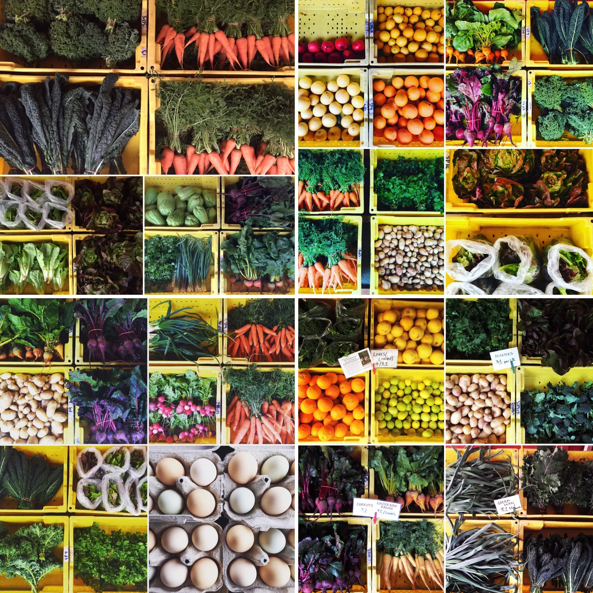 Greens, Roots, Citrus, and the Salad Bowl!