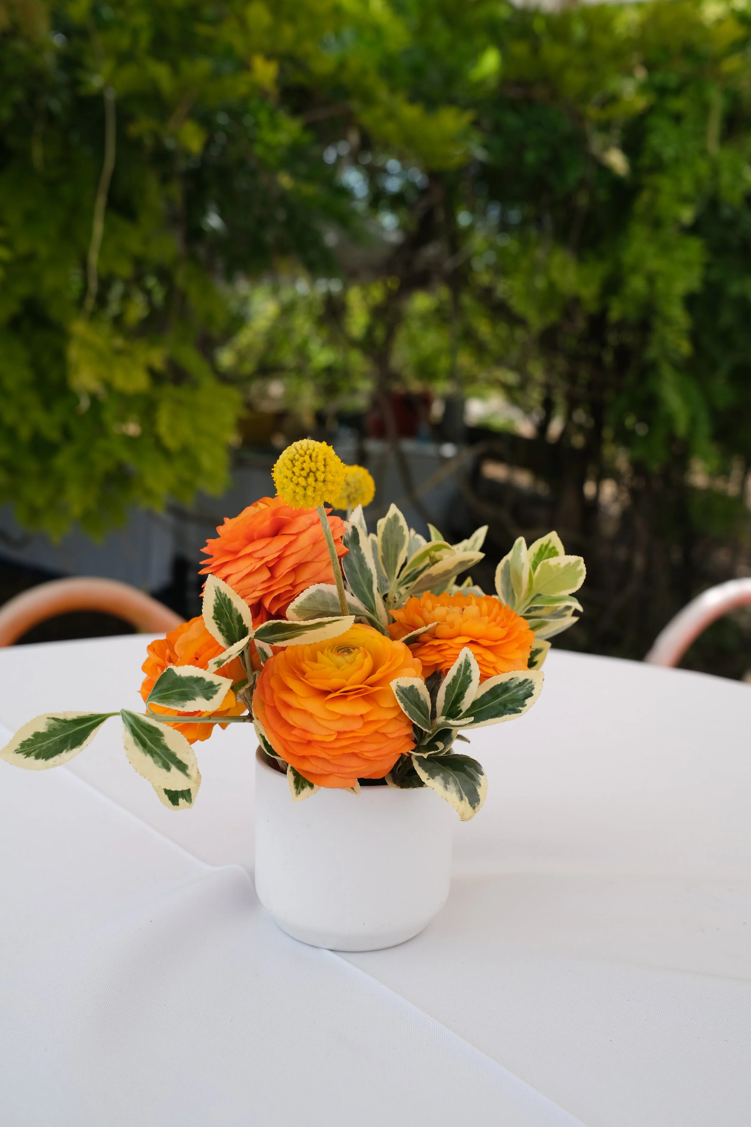 DSCF6250.JPG